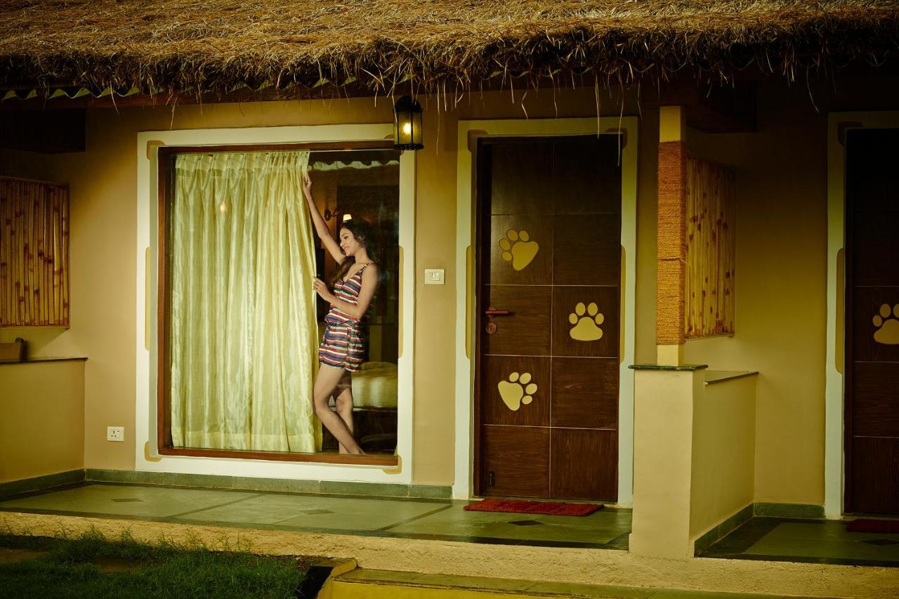 Asiatic Lion Lodge