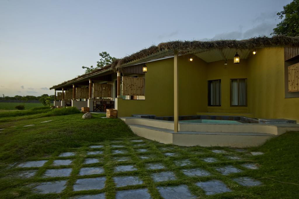 Asiatic Lion Lodge