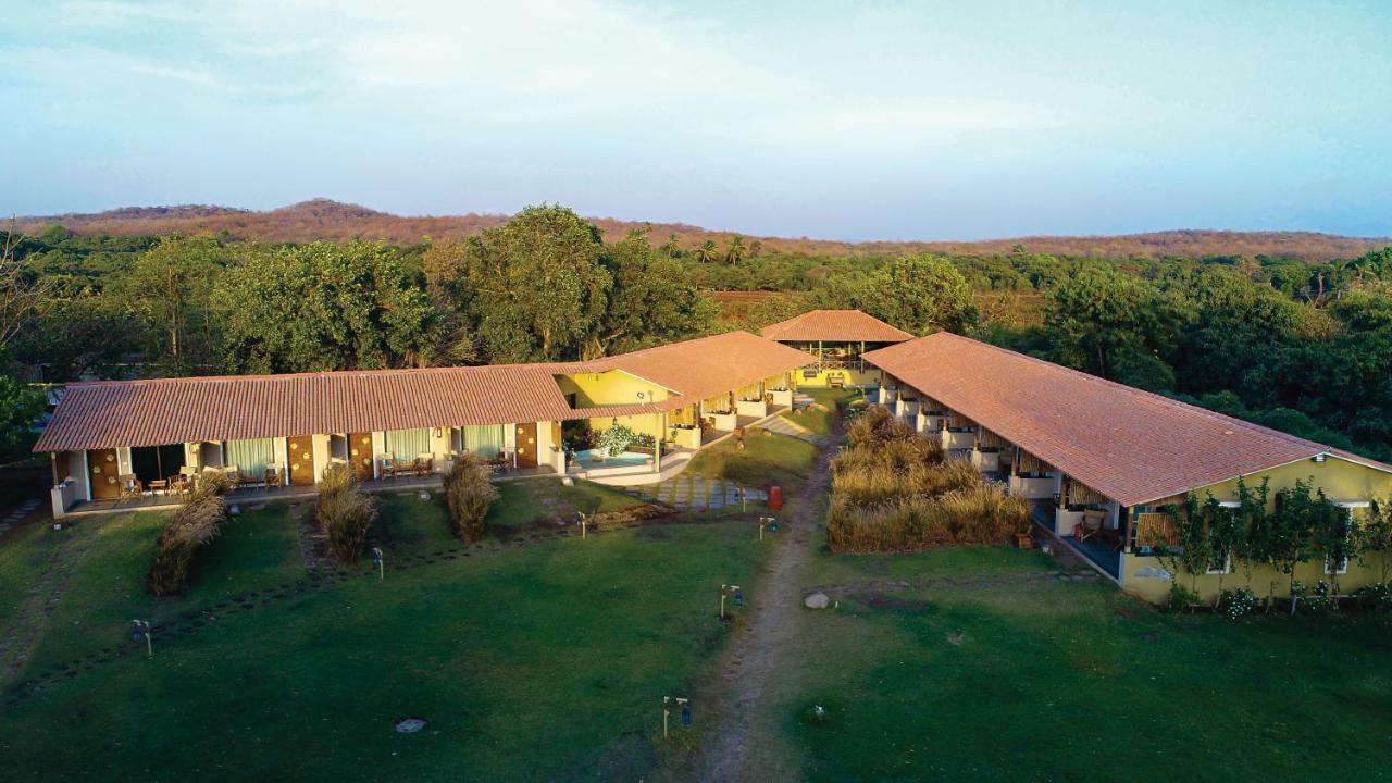 Lodge Asiatic Lion Sasan Gir